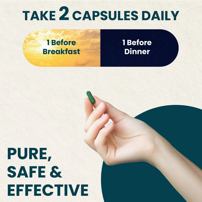 Zeroharm Gut Army | Prebiotic & Probiotic Capsules | Synbiotic Formula for Digestive Health-7