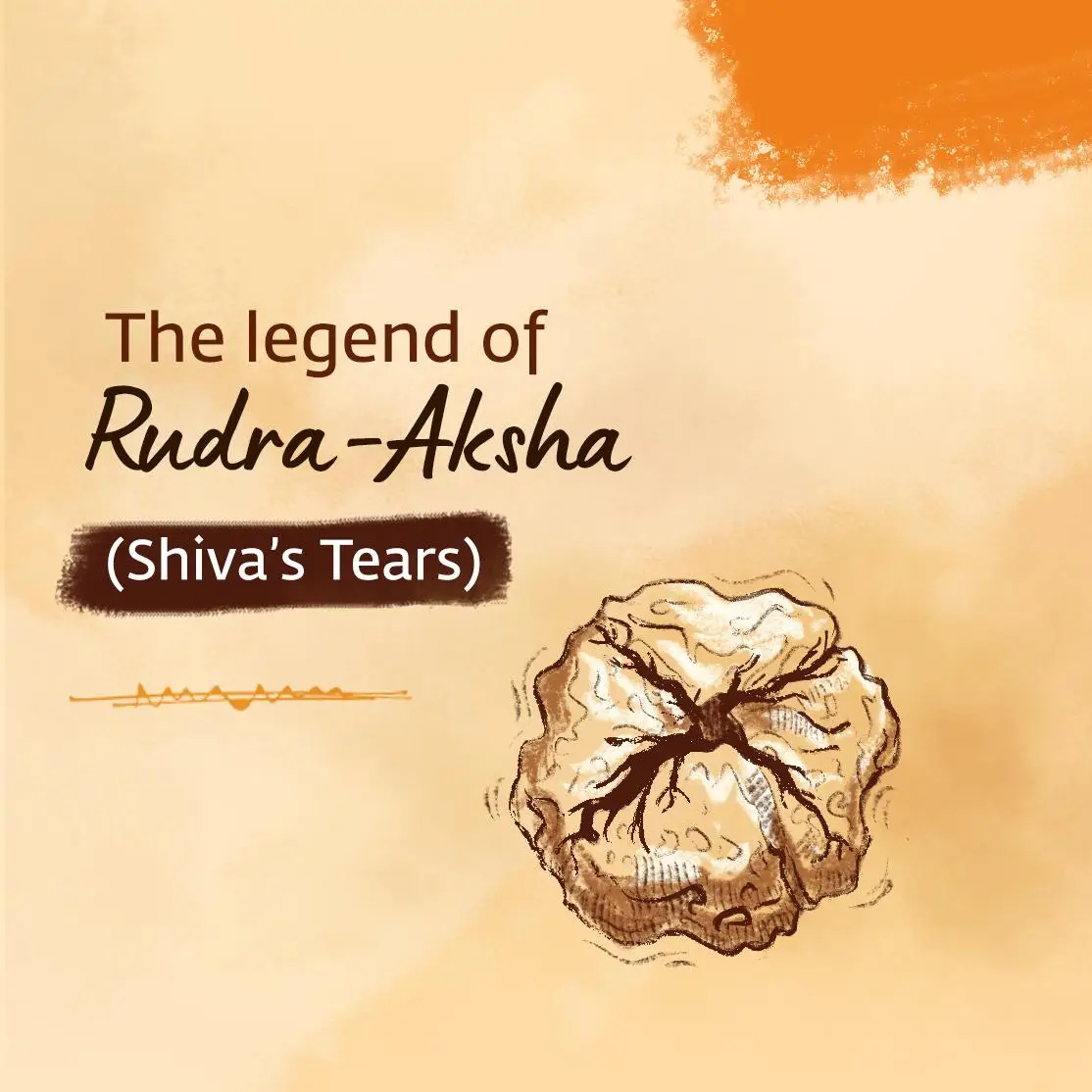 rudraksha_5.webp
